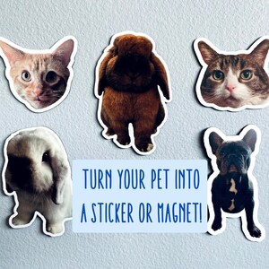 May include: A collection of pet-themed stickers and magnets featuring cats, a rabbit, and a French bulldog. The text on the image reads: "TURN YOUR PET INTO A STICKER OR MAGNET!"