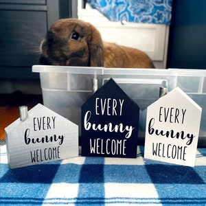 Every Bunny Welcome House image 5