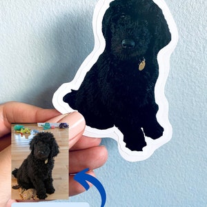 May include: A black dog sticker with a white border. The sticker features a detailed illustration of a curly-haired dog with a small gold tag. The words "ORIGINAL PHOTO" are in a blue box with a blue arrow pointing to the dog's image.