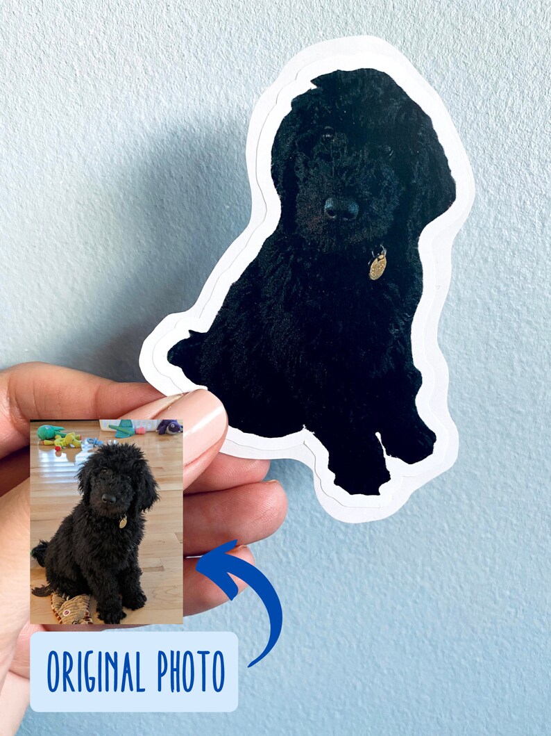 May include: A black dog sticker with a white border. The sticker features a detailed illustration of a curly-haired dog with a small gold tag. The words "ORIGINAL PHOTO" are in a blue box with a blue arrow pointing to the dog's image.