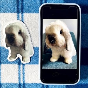 May include: A sticker and a phone displaying a photo of a fluffy, light-colored bunny with floppy ears. The sticker is a cutout of the bunny. The phone is in a white case, and the background is a blue and white plaid pattern.
