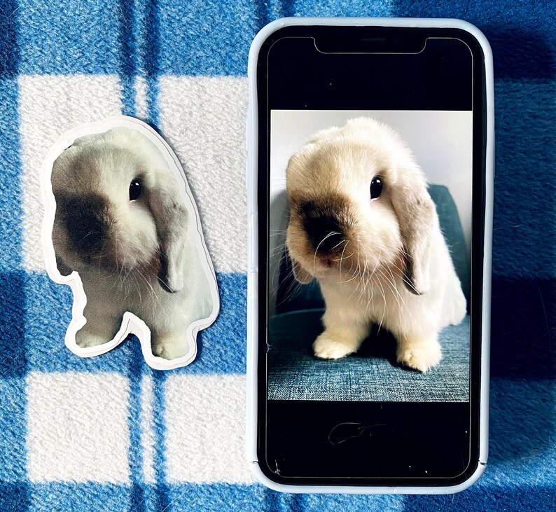 May include: A sticker and a phone displaying a photo of a fluffy, light-colored bunny with floppy ears. The sticker is a cutout of the bunny. The phone is in a white case, and the background is a blue and white plaid pattern.