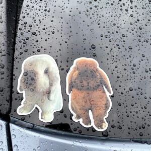 May include: Two bunny stickers, one white and one brown, are adhered to a wet, dark surface. The stickers have a white border and depict the bunnies in a standing pose. The surface is covered in water droplets.