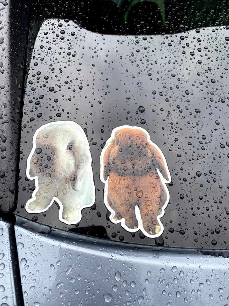 May include: Two bunny stickers, one white and one brown, are adhered to a wet, dark surface. The stickers have a white border and depict the bunnies in a standing pose. The surface is covered in water droplets.