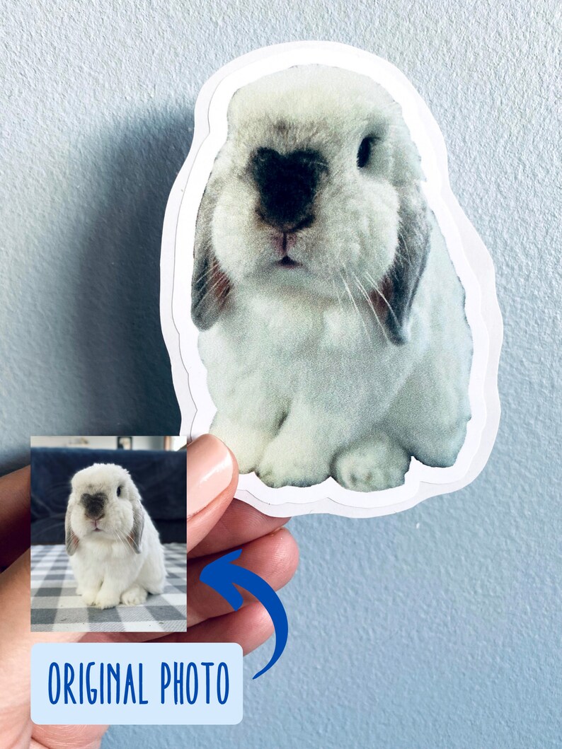 May include: A sticker featuring a white and gray bunny with floppy ears. The sticker has a white border and a realistic image of the bunny. The text "ORIGINAL PHOTO" is in a blue box with a blue arrow pointing to the sticker.