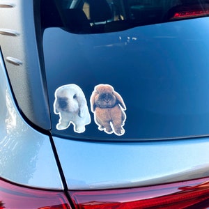 May include: Two bunny stickers are adhered to the rear window of a silver car. One sticker is a white bunny with a light blue tint, and the other is a brown bunny. The stickers are cut around the bunny's shape.