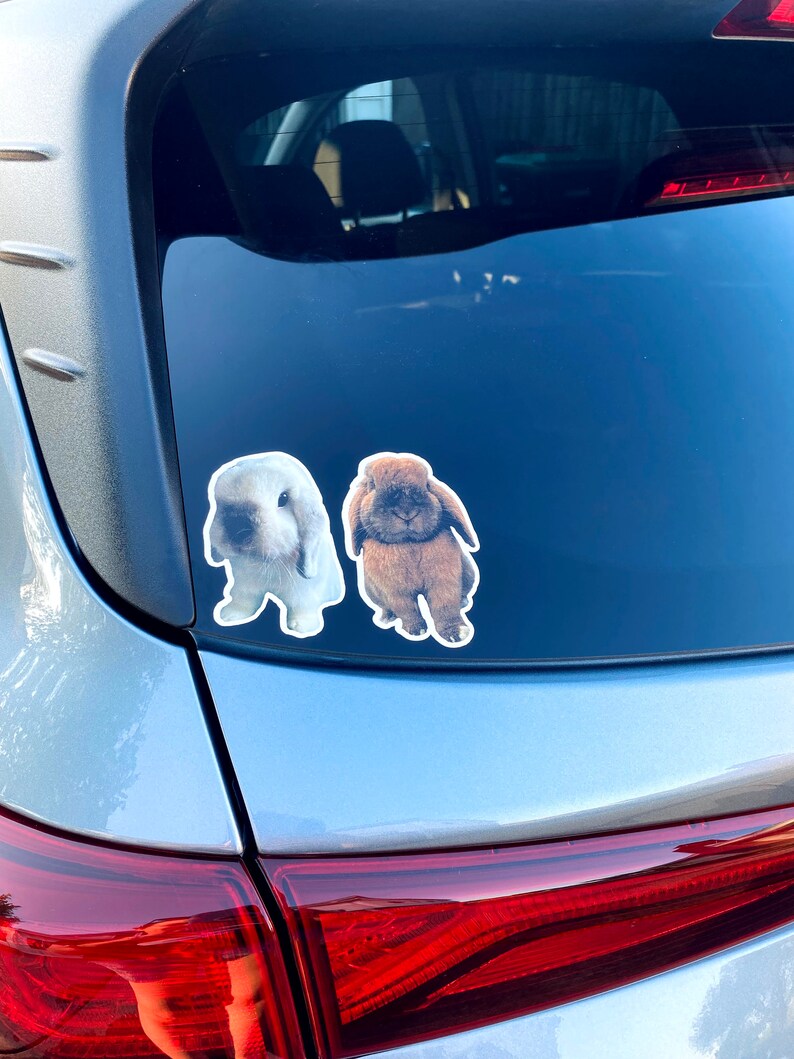 May include: Two bunny stickers are adhered to the rear window of a silver car. One sticker is a white bunny with a light blue tint, and the other is a brown bunny. The stickers are cut around the bunny's shape.