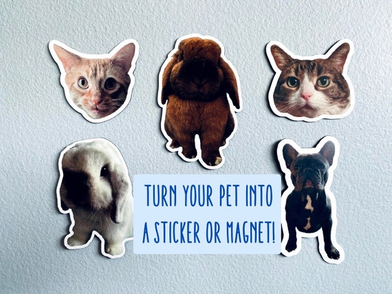 TWO Custom Pet Photo Stickers and Magnets (Waterproof/Weatherproof)