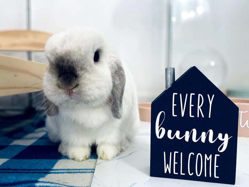 Every Bunny Welcome House WITH Chinmey