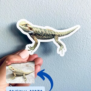 May include: A sticker featuring a detailed illustration of a bearded dragon lizard in shades of green, brown, and tan. The sticker is cut around the lizard's outline. The image also includes a smaller photo labeled "ORIGINAL PHOTO".