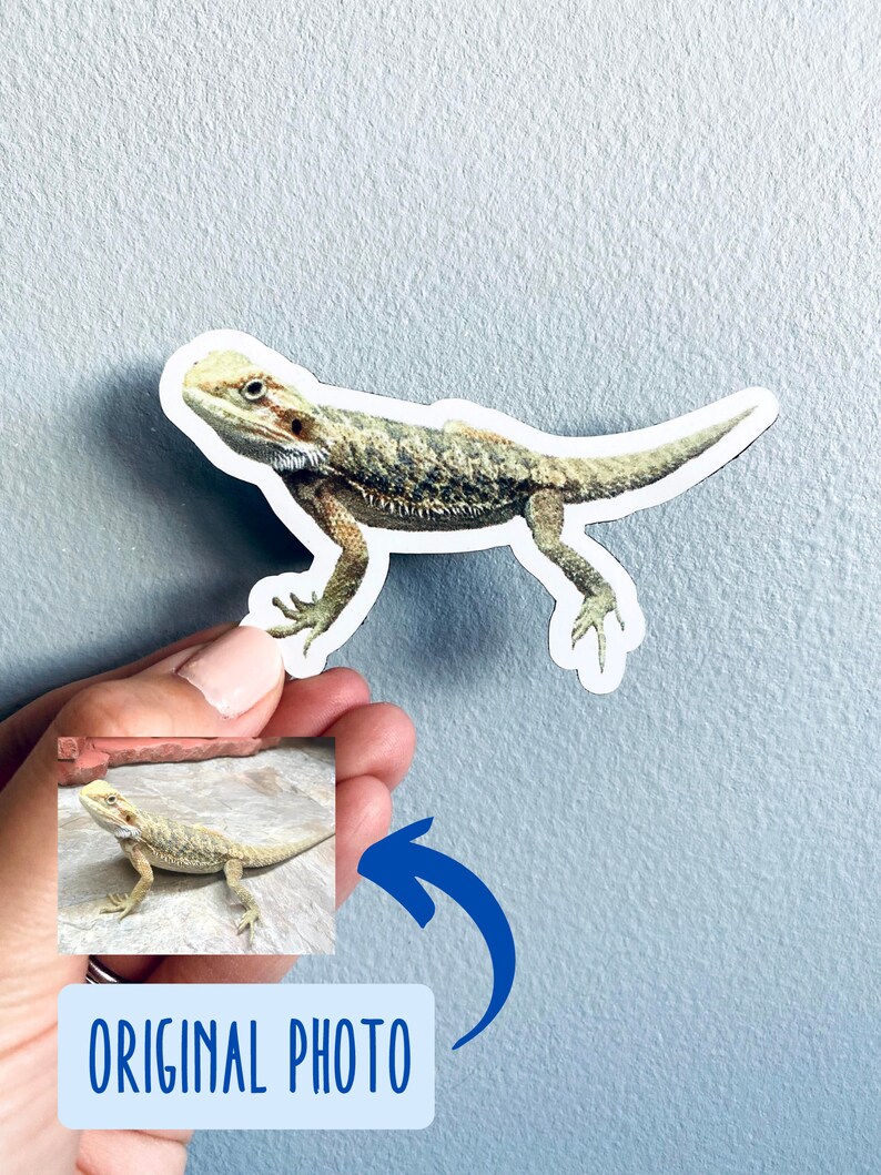 May include: A sticker featuring a detailed illustration of a bearded dragon lizard in shades of green, brown, and tan. The sticker is cut around the lizard's outline. The image also includes a smaller photo labeled "ORIGINAL PHOTO".