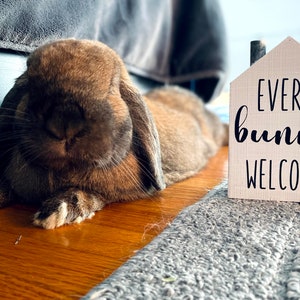 Every Bunny Welcome House image 4