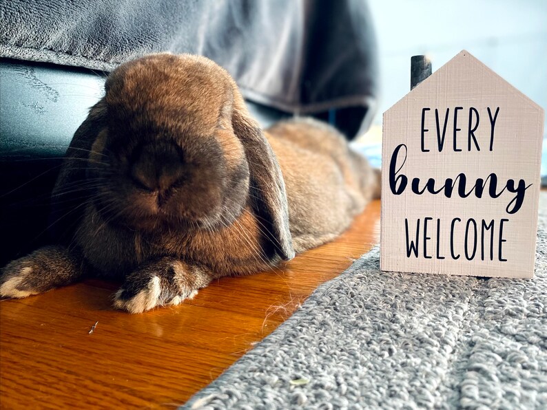 Every Bunny Welcome House image 4