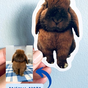 May include: A sticker featuring a brown lop-eared rabbit. The sticker is die-cut with a white border. The image includes a smaller photo of the rabbit and the text "ORIGINAL PHOTO" in a blue box.