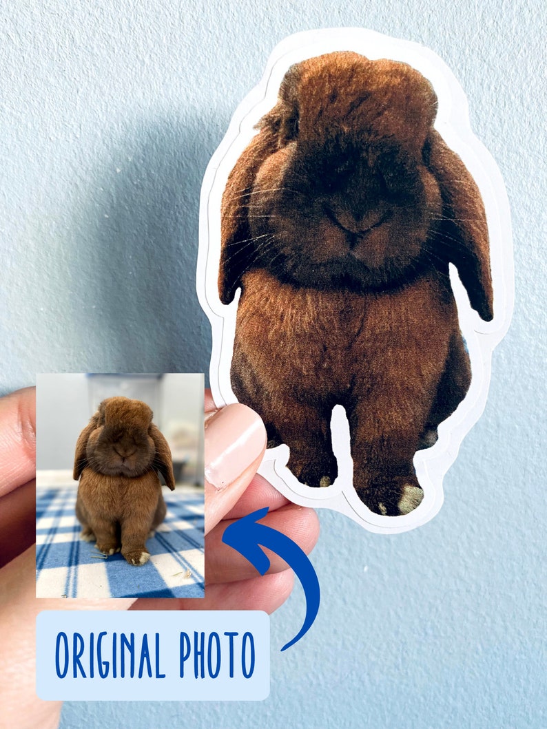 May include: A sticker featuring a brown lop-eared rabbit. The sticker is die-cut with a white border. The image includes a smaller photo of the rabbit and the text "ORIGINAL PHOTO" in a blue box.