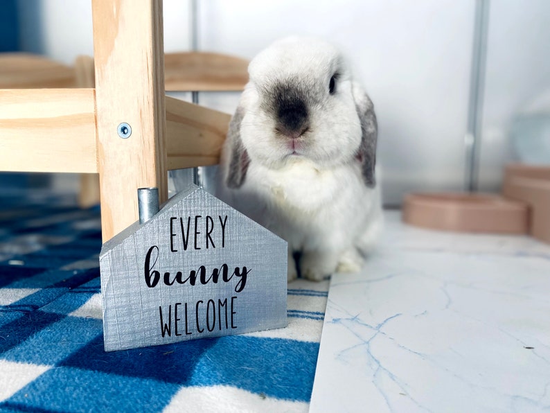 Every Bunny Welcome House image 2