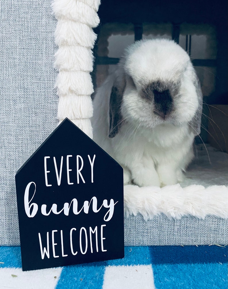 Every Bunny Welcome House WITHOUT Chimney