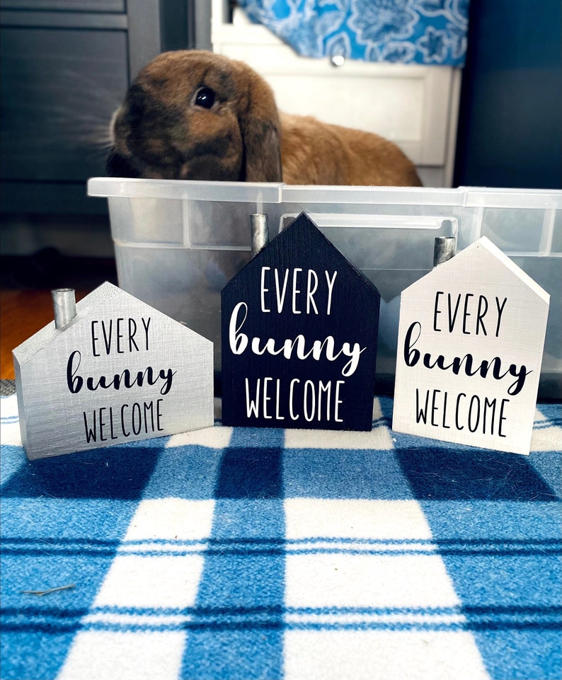 Every Bunny Welcome House image 5