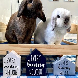 Every Bunny Welcome House image 6