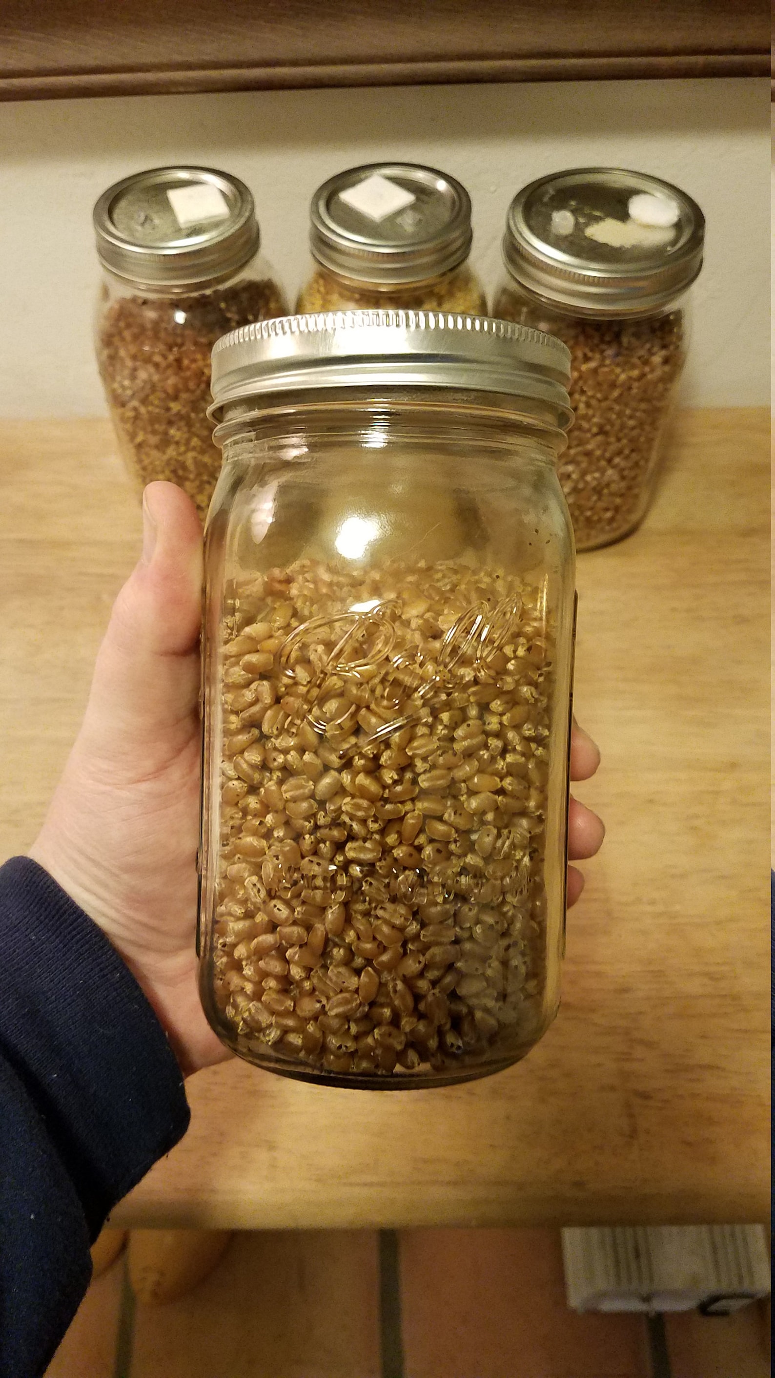 Mushroom Grain Spawn 100% Organic Non-gmo Sterilized Rye - Etsy
