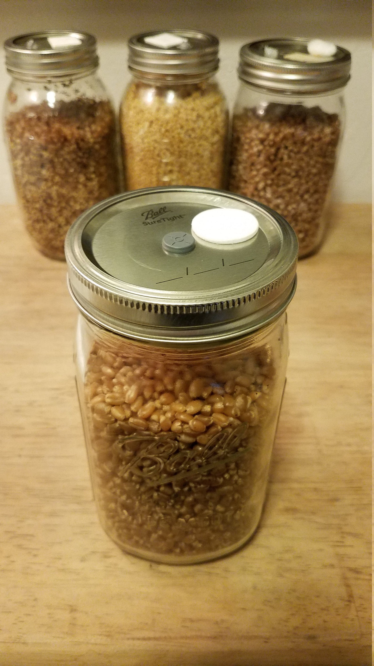 Mushroom Grain Spawn 100 Organic Nongmo Sterilized Rye Etsy