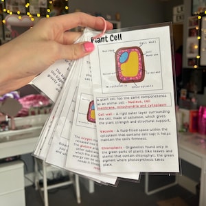 May include: A set of flashcards on a pink ring, detailing a plant cell's components. The cards feature diagrams and text, including "Nucleus," "Cell Wall," and "Cytoplasm." The cards are in a clear plastic sleeve.