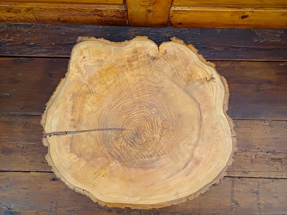 Tree/Log Cross-section cheese board, bread board, platter