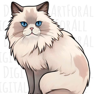 Rätselhafte Ragdoll Katze | Sofortige herunterladbare Kunst Digitale Kunst DTG Sublimation Design T-Shirt Design Aufkleber PNG Datei Clipart