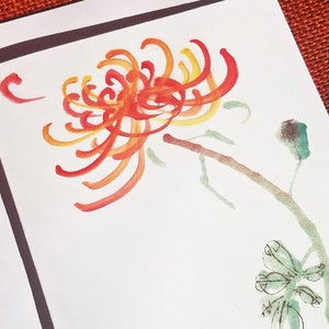 Chinese painting note cards with orange chrysanthemum flower design. Color printed note cards blank inside. Stationery set of 8 w/ envelopes
