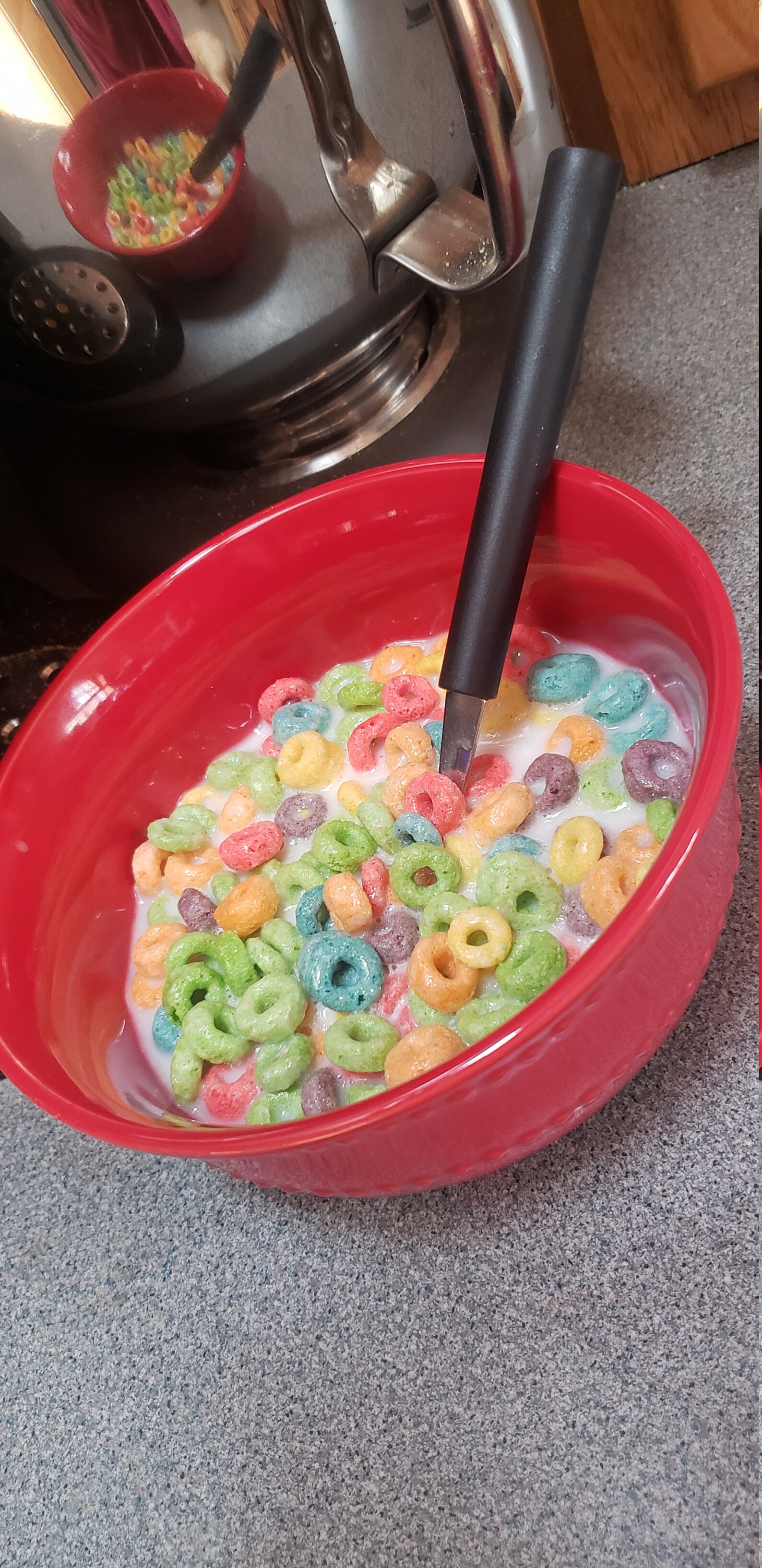 READY TO SHIP / Full size Fake Fruit Loops/ Fake Cereal / Etsy
