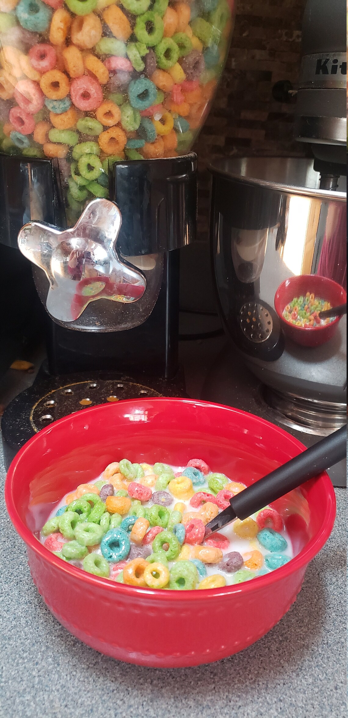 READY TO SHIP / Full size Fake Fruit Loops/ Fake Cereal / Etsy