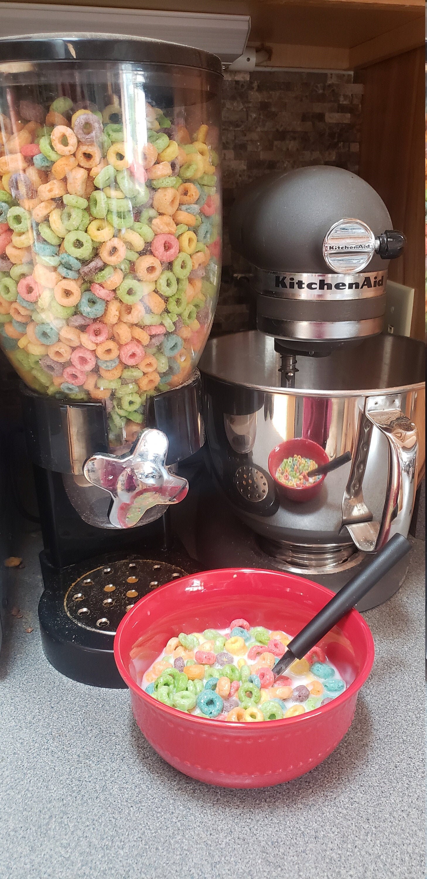 READY TO SHIP / Full size Fake Fruit Loops/ Fake Cereal / Etsy