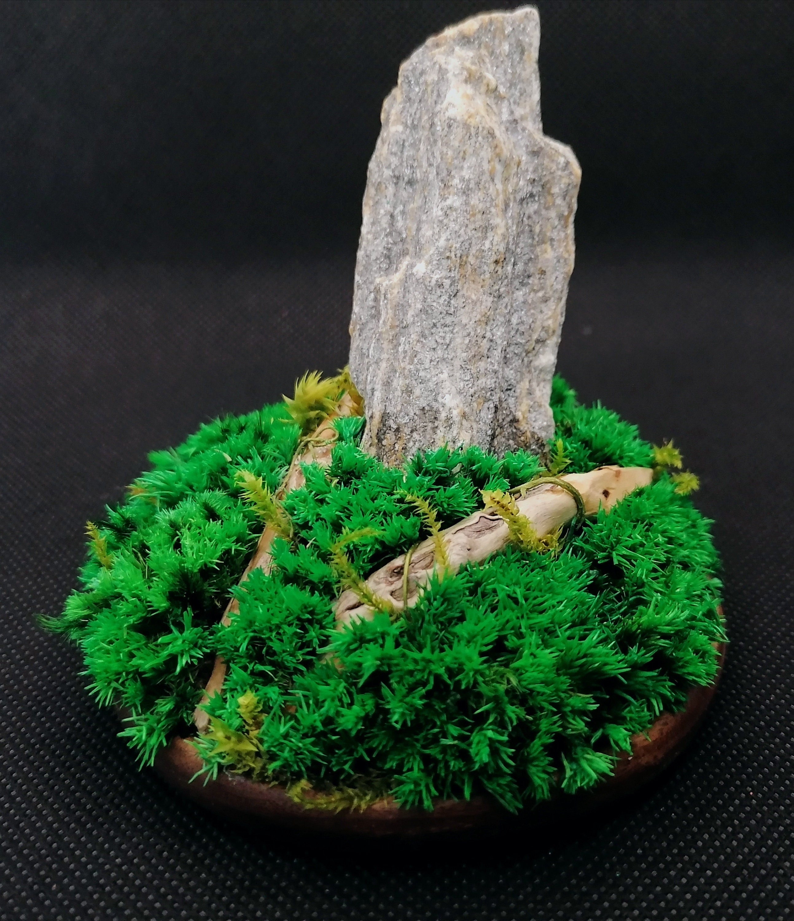 Mini Preserved Moss Sculpture Etsy Canada