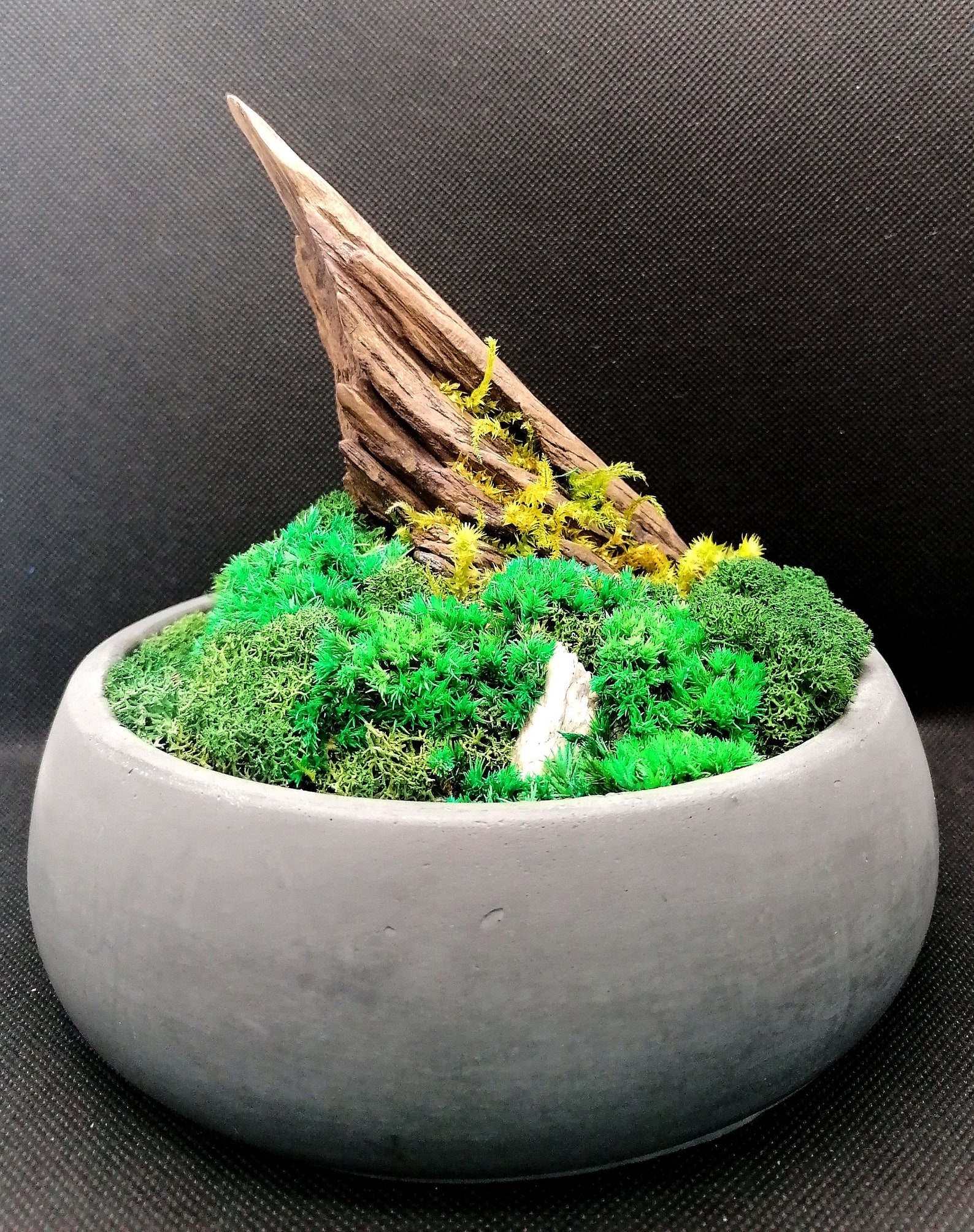 3. Nature's Embrace: A Vibrant Moss Bowl To Elevate Your Decor