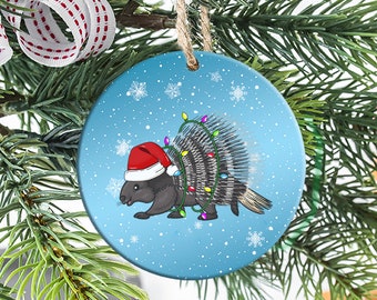 Pet Christmas Ornament - Porcupine Pet Gifts - First Christmas Personalised Pet Ornament - Funny Christmas Ornament