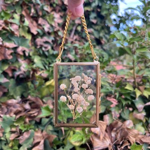 Frame voor geperste babyademhaling | Echte droogbloemen | Glazen hangframe | 2 x 3 inch | Minilijst: