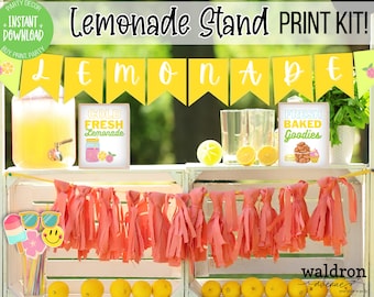 Lemonade Stand Sign | Lemonade Banner | Lemonade Bar | Lemon Bridal Shower Decor | 1st Birthday Pool Party Decorations | Photobooth Props