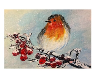 Puede incluir: Un petirrojo de pecho rojo posado en una rama cubierta de nieve con bayas rojas. El pájaro está mirando al espectador y tiene el vientre blanco y la cabeza negra. El fondo es un cielo azul claro con nieve cayendo.