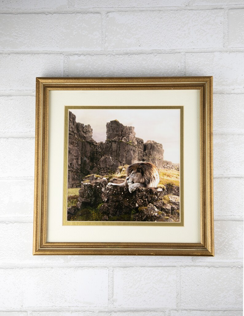 Not a Tame Lion Aslan Narnia Photo Manipulation Frame - Etsy