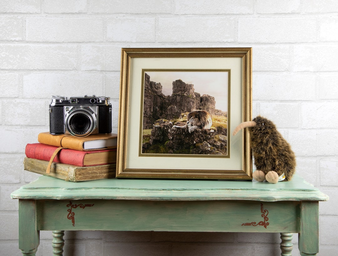 Not a Tame Lion Aslan Narnia Photo Manipulation Frame - Etsy