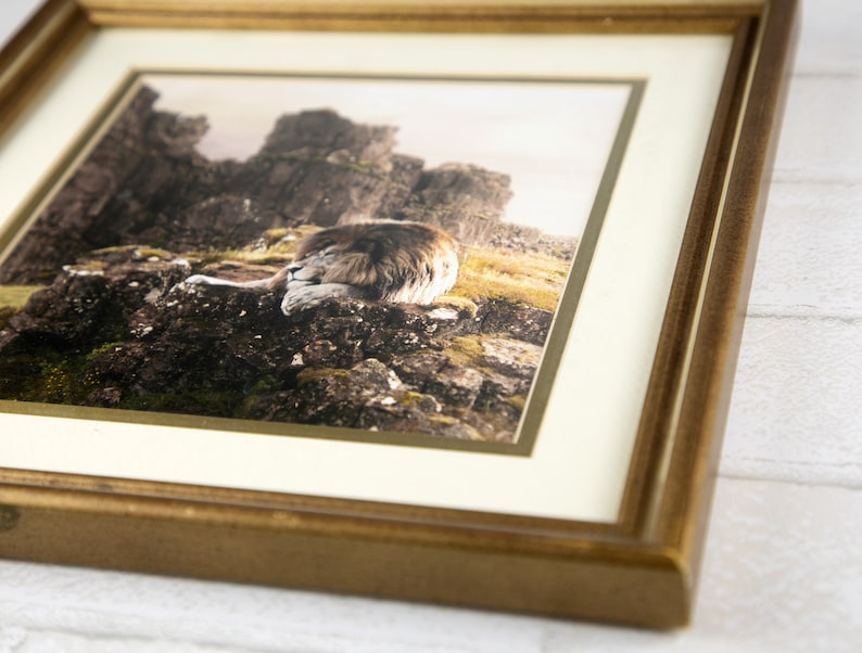 Not a Tame Lion Aslan Narnia Photo Manipulation Frame - Etsy