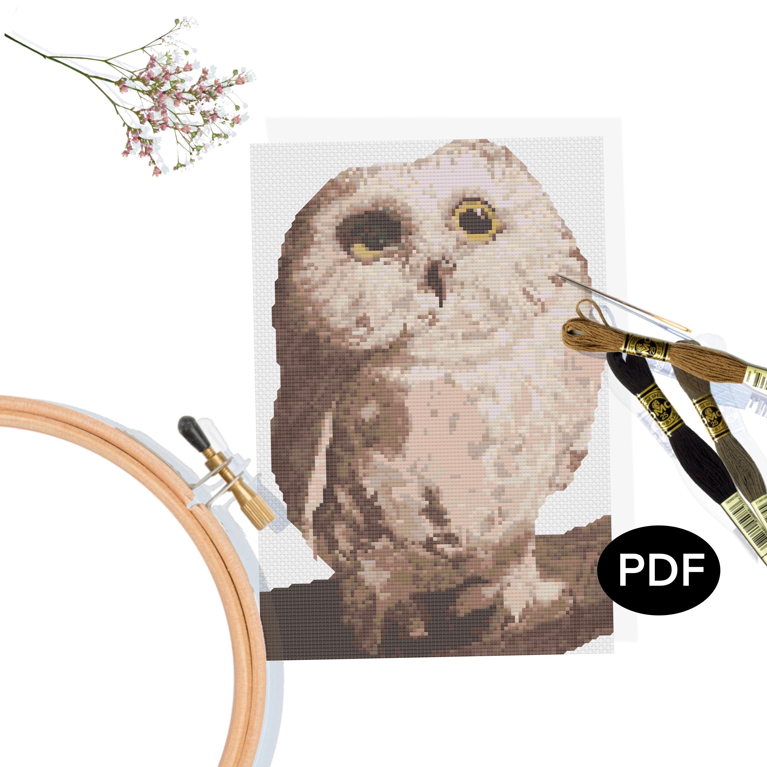 Cross Stitch Pattern PDF - Cute Baby Owl - Original Art - Printable - Instant Download - Pattern Kee