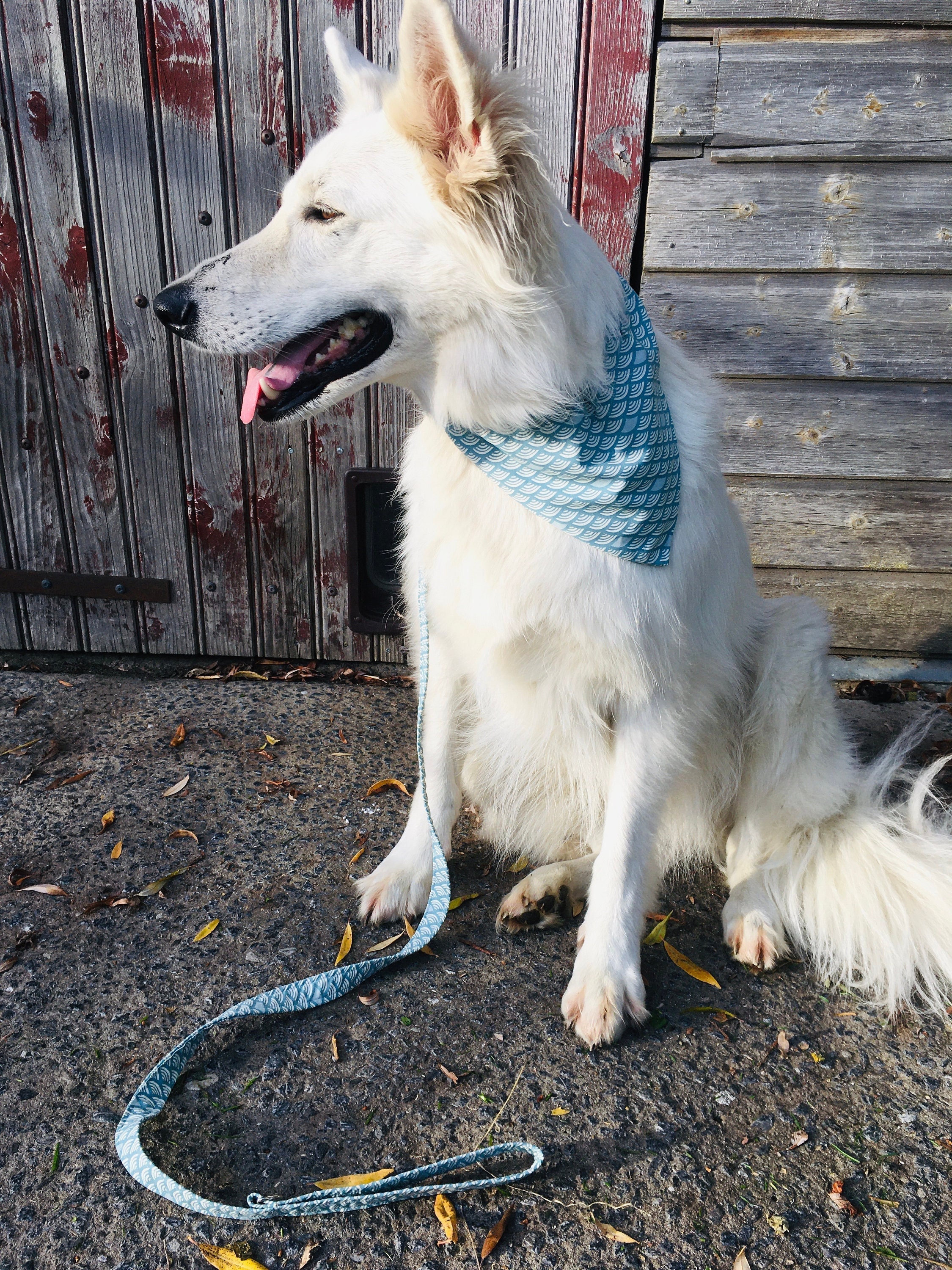 Bandana A Personnaliser Chien Mia