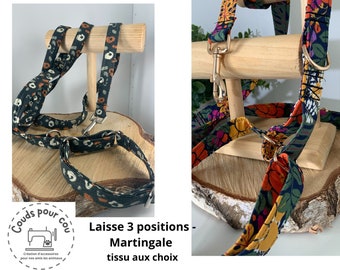 Laisse 3 positions martingale