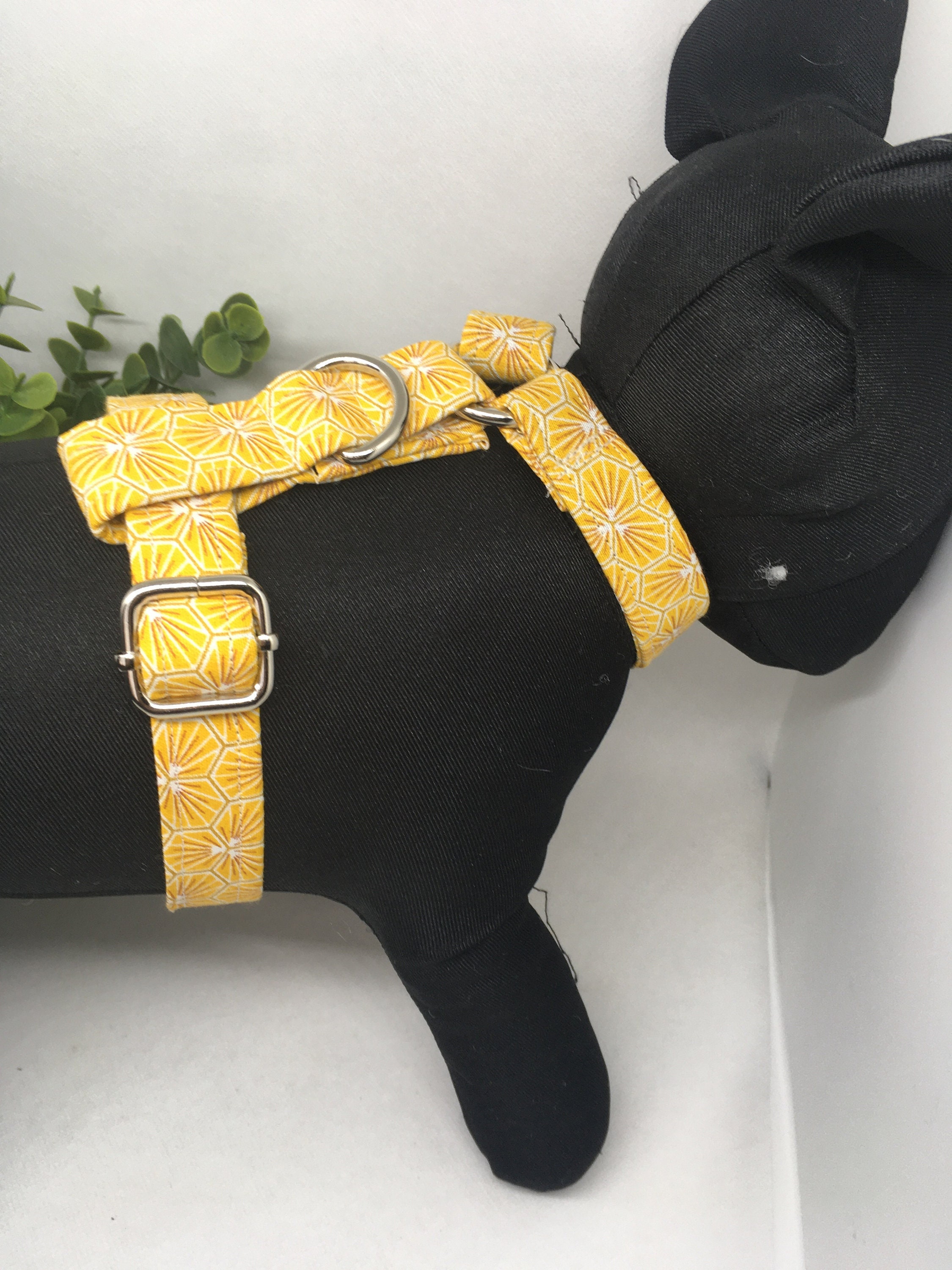 Harnais Chien en H Sunny