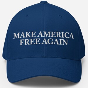 Resistance Hat, Resist Hat, Political Hat, Anti Trump Hat, FDT Hat, Protest Hats, Embroidered Hat, Anti Maga Hat, Liberal Hat, Activist Hat