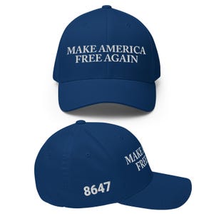 8647, Resistance Hat, Political Hat, Political Merch, Anti Trump Hat, FDT Hat, Protest Hats, Embroidered Hat, Anti Maga Hat, Liberal Hat