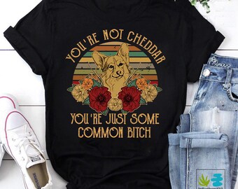 Dog Fox You're Not Cheddar You're Just Some Common Bitch Vintage Retro T-Shirt, Corgi Shirt, Brooklyn 99 Shirt, Dog Lover Shirt