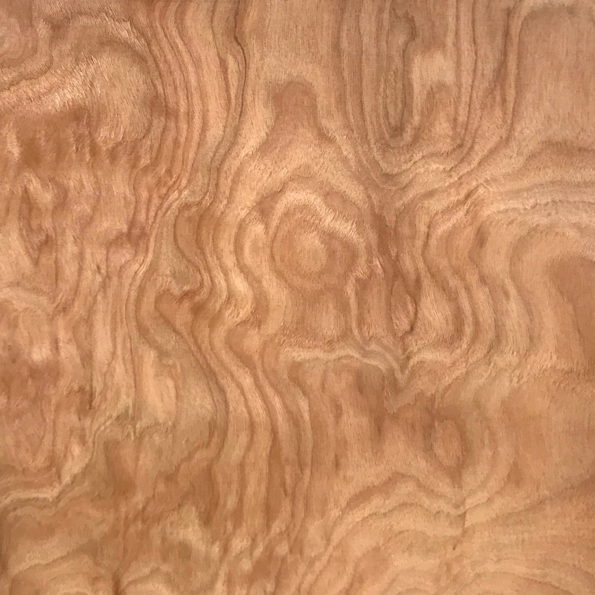 Premium Red Birch Veneer 10 x 15 6 Sheets Etsy