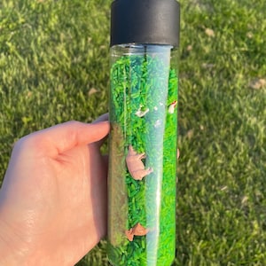 Farm Animal | Sensory Bottles | Calm Down Bottles |  Anxiety & Stress Relief | Autism Sensory Bottles | Desk Stress Relief